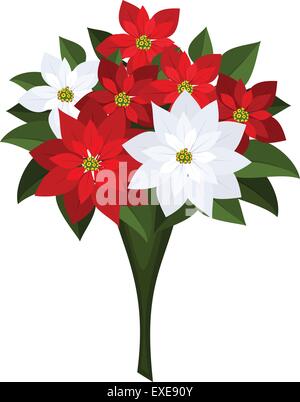 Bouquet de Noël rouge et blanc de poinsettias. Vector illustration. Illustration de Vecteur