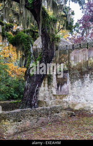 Chapelle de la facilité ruines sur l'Île Sainte-Hélène, Caroline du Sud Banque D'Images