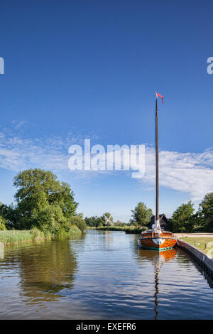 Ant de la rivière dans les Norfolk Broads Comment Hill, Norfolk, Angleterre. Banque D'Images