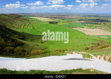 Westbury White Horse Camp Bratton (Fortin). À l'égard de Westbury au-dessus de la tête de cheval. Banque D'Images