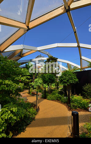 Traverse Place roof garden, West India Quay Canary Wharf,Estate, Docklands, London E14, Royaume-Uni Banque D'Images