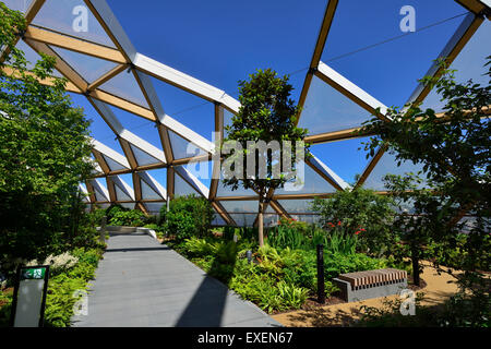 Traverse Place roof garden, West India Quay Canary Wharf,Estate, Docklands, London E14, Royaume-Uni Banque D'Images