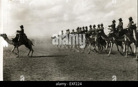 Cette image représente des chameaux anglais, qui faisaient partie des unités de cavalerie de l'armée britannique pendant la période coloniale. Ces troupes ont été utilisées principalement dans la guerre dans le désert et la reconnaissance dans des régions comme le moyen-Orient et l'Afrique du Nord. Banque D'Images