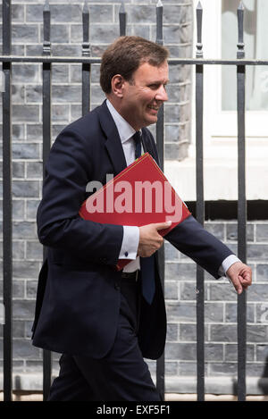 Les ministres arrivent à la première réunion du Cabinet après les élections au 10 Downing Street. Avec : Greg mains où : London, Royaume-Uni Quand : 12 mai 2015 Banque D'Images