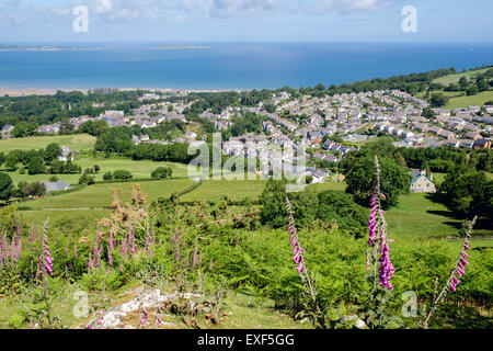 Vue de la côte galloise d'en haut village avec digitales (Digitalis purpurea) en premier plan. Llanfairfechan, Conwy, au nord du Pays de Galles, Royaume-Uni Banque D'Images