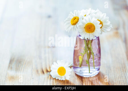 Bouquet de fleurs de camomille dans une petites bouteilles en verre Banque D'Images