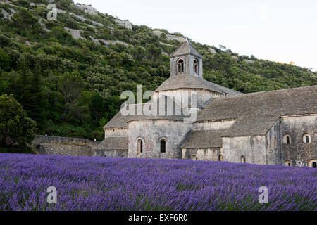 Abbaye de Sénanque, à proximité de Gordes en Provence France UE Banque D'Images