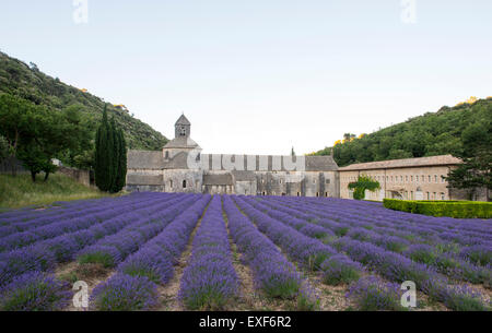 Abbaye de Sénanque, à proximité de Gordes en Provence France UE Banque D'Images