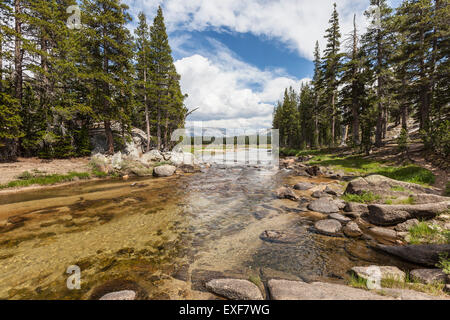 Rivière Toulumne et prairies du parc national de Yosemite en Californie. Banque D'Images