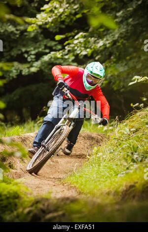 Jeune femme descente VTT en forêt Banque D'Images