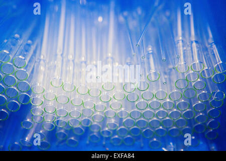 Low angle view of large groupe de tubes à essai en verre Banque D'Images