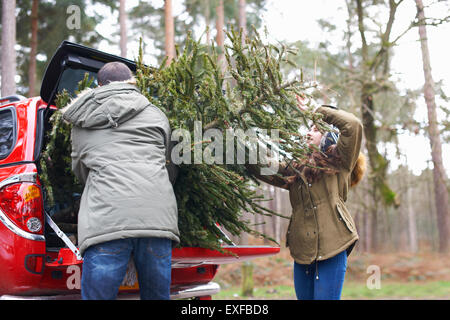 Jeune couple dans l'arbre de Noël de levage car boot Banque D'Images