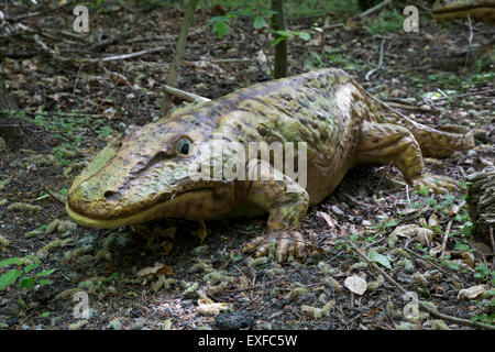 Eryops une espèce d'amphibiens prédateurs primitifs Dinosaurier Park Allemagne Banque D'Images