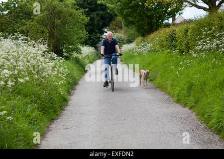 Senior man riding bike on country road with dog Banque D'Images