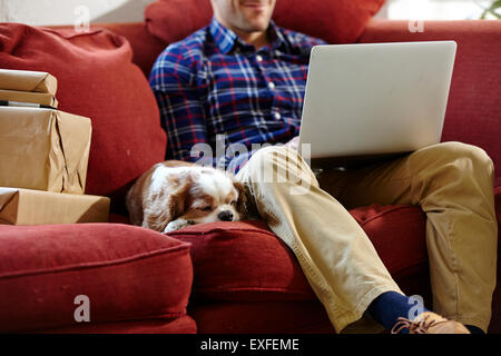 Mid adult man using laptop on sofa dans les encadreurs showroom Banque D'Images