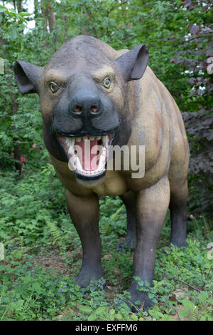 Hyaenodon une espèce de mammifère carnivore de l'Eocène Dinosaurier Park Allemagne Banque D'Images