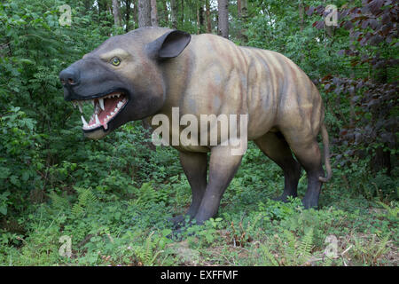 Hyaenodon une espèce de mammifère carnivore de l'Eocène Dinosaurier Park Allemagne Banque D'Images