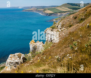 En regardant vers Chapman's Piscine et Swyre de tête Emmett's Hill à St Aldhelm's Head sur la côte du Dorset UK Banque D'Images