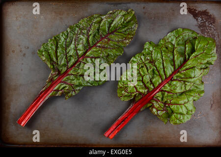 Deux tiges de bette à carde rouge sur une plaque de métal. Portrait en format horizontal. Banque D'Images