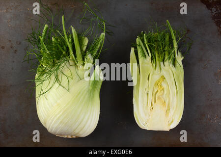 Portrait de deux bulbes de fenouil sur une surface métallique. Une ampoule est réduit de moitié. Banque D'Images