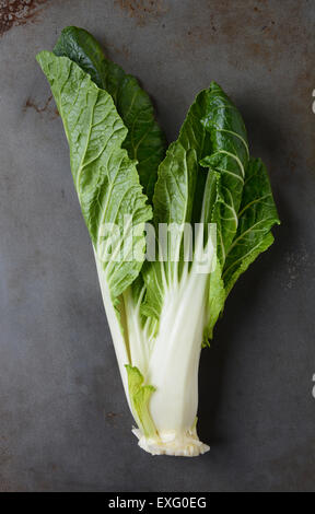 Bok choy, sens, légumes blanc sur une plaque de métal utilisé. Format vertical. Banque D'Images