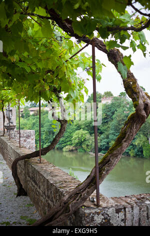 Palais de la Berbie Gardens allée au Albi, Tarn, France. Tourné avec un focus sélectif Banque D'Images