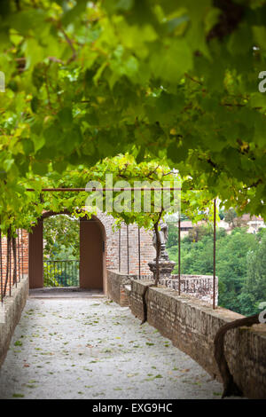 Palais de la Berbie Gardens allée au Albi, Tarn, France. Tourné avec un focus sélectif Banque D'Images