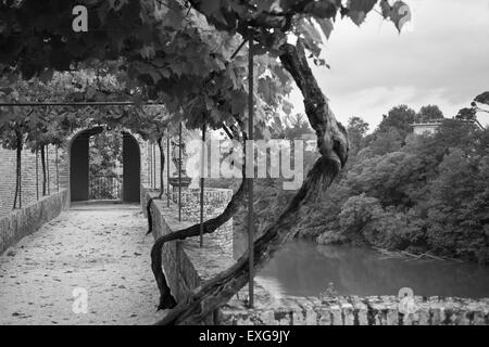 Palais de la Berbie Gardens allée au Albi, Tarn, France. Bw shot filtrée Banque D'Images