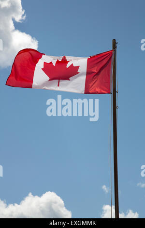 Le drapeau canadien dans le vent sur une journée ensoleillée. Banque D'Images