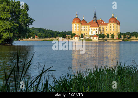 Château de Moritzburg Baroque, Dresde, État libre de Saxe, Allemagne, Europe Banque D'Images