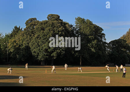 Football - Division de la Ligue de Cricket Kent 1er IV XI - Faversham Cricket Club v Cowdrey Cricket Club Banque D'Images