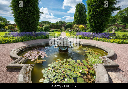 Plan d'eau Bassin aux nymphéas et bassin de nénuphars à Arley Hall gardens dans le Cheshire, en Angleterre. Banque D'Images