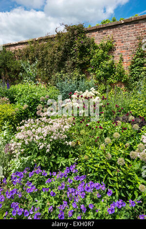 Au début de l'été à la frontière Arley Hall dans le Cheshire, en Angleterre. Astrantias, géraniums et Cirsium fonction. Banque D'Images