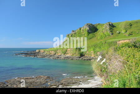 Éperon rocheux couvert d'herbe sur le chemin côtier du sud-ouest, près de Salcombe, sur la côte sud du Devon, England, UK Banque D'Images