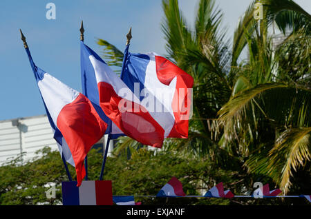 14 juillet 2015 - Saint-Denis, Réunion, France - Défilé militaire pour la Fête nationale du 14 juillet, à Saint-Denis, la capitale de l'île de la réunion © Valérie Koch/ZUMA/ZUMAPRESS.com/Alamy fil Live News Banque D'Images