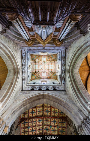 Vue de l'intérieur de la cathédrale de St David's, St David's, Pembrokeshire Banque D'Images