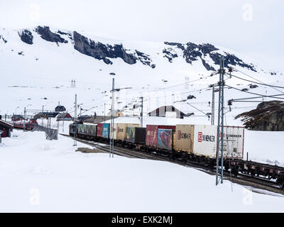 Train La gare de Finse, zone couverte avec la neige à la fin du printemps, la gare la plus élevée de fer sur Oslo-Bergen Banque D'Images