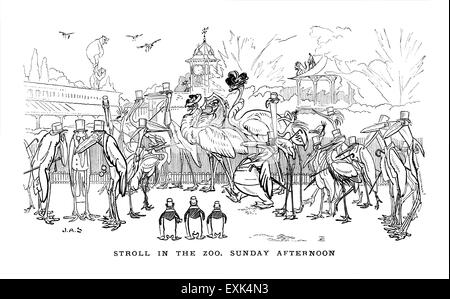 Victorienne de 1895 illustration amusante par J un berger, "Promenade dans le Zoo dimanche après-midi" Banque D'Images