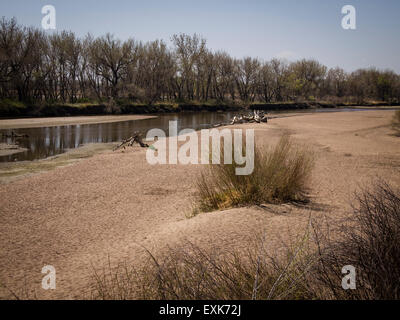 Peupliers bordent les rives de la rivière South Platte près de Evans, au Colorado, en avril il est encore faible et facile à franchir. Banque D'Images