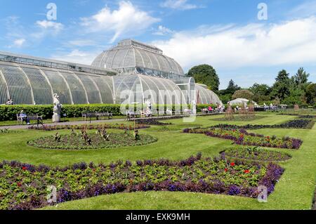 Palm house à Kew Royal Botanical Gardens Londres Banque D'Images