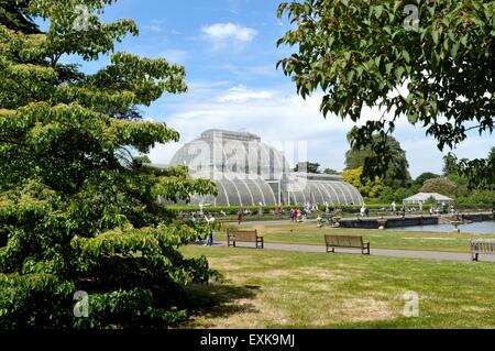 Palm house à Kew Royal Botanical Gardens Londres Banque D'Images