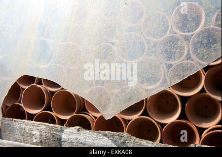 Des pots d'argile dans green house Banque D'Images