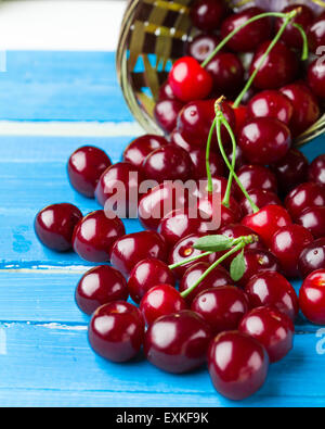 Cerises sur un fond de bois bleu Banque D'Images