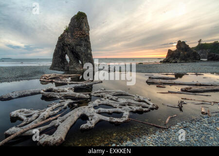 Coucher du soleil reflétée dans un ruisseau, avec vue sur la mer et les piles de bois flotté, à Ruby Beach in Olympic National Park, Washington. Banque D'Images