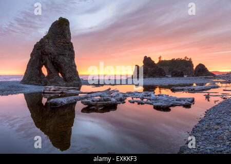 Coucher du soleil reflétée dans un ruisseau, avec vue sur la mer et les piles de bois flotté, à Ruby Beach in Olympic National Park, Washington. Banque D'Images
