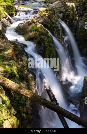 Le Sol Duc River se divise en 3 cascades à Sol Duc falls in Olympic National Park, Washington. Banque D'Images