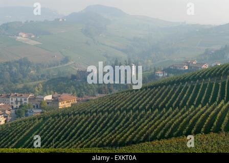 L'Italie, Piémont, collines des Langhe, panorama des vignes Banque D'Images