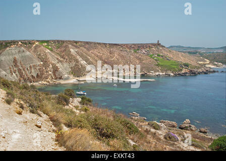 Malte - Coast Garrigue Steppe, Plaz Ghajn Tuffieha Bay, Melliena Banque D'Images