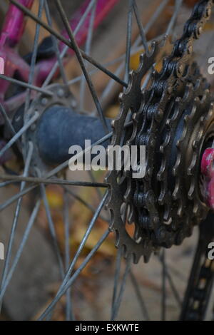 Et à l'arrière de la chaîne d'un vélo moderne Banque D'Images