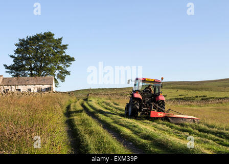 Bowlees, Upper Teesdale, comté de Durham. Mercredi 15 juillet 2015, UK Weather. Dans les prairies de fauche des fermes traditionnelles de coupe d'herbe est retardé jusqu'au milieu du mois de juillet afin de permettre à la flore autochtone et les herbes pour produire des graines. Avec plus de temps chaud et sec prévu pour les prochains jours, les agriculteurs locaux ont été sortis tôt ce matin pour commencer à faire leur foin. Crédit : David Forster/Alamy Live News Banque D'Images